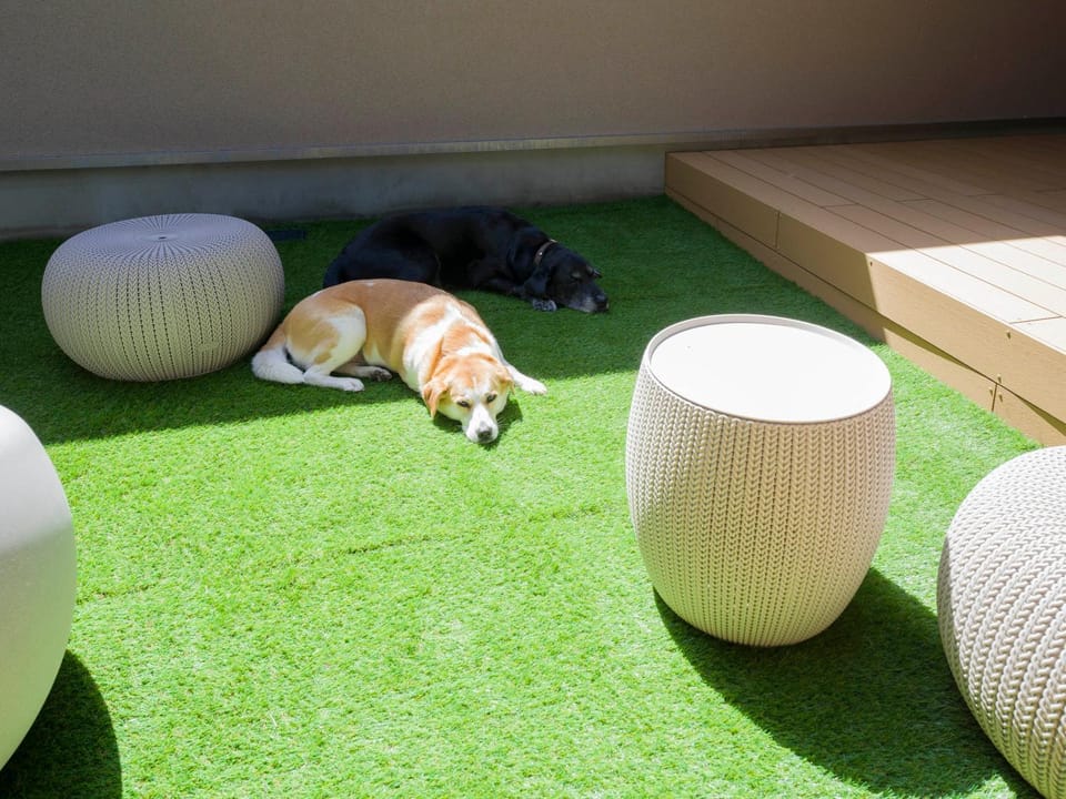 Balcony/Terrace, pet friendly