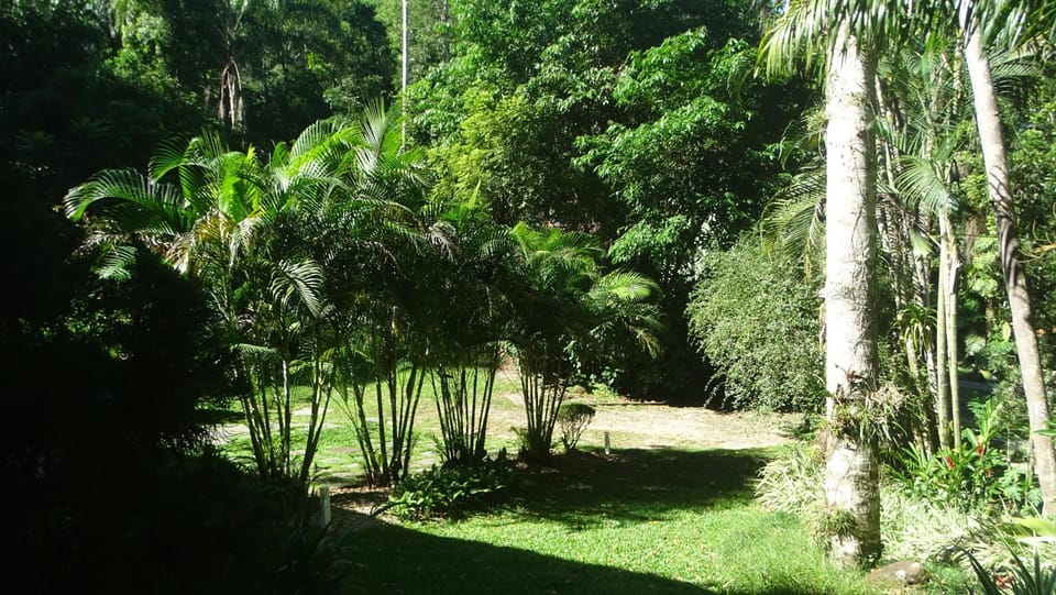 Spring, Day, Natural landscape, Garden, Garden view