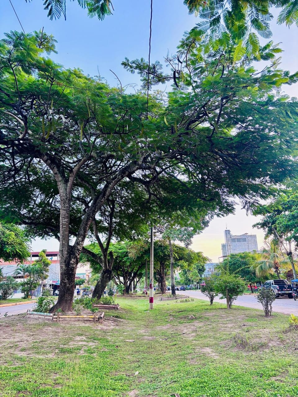 Natural landscape, Garden, Location