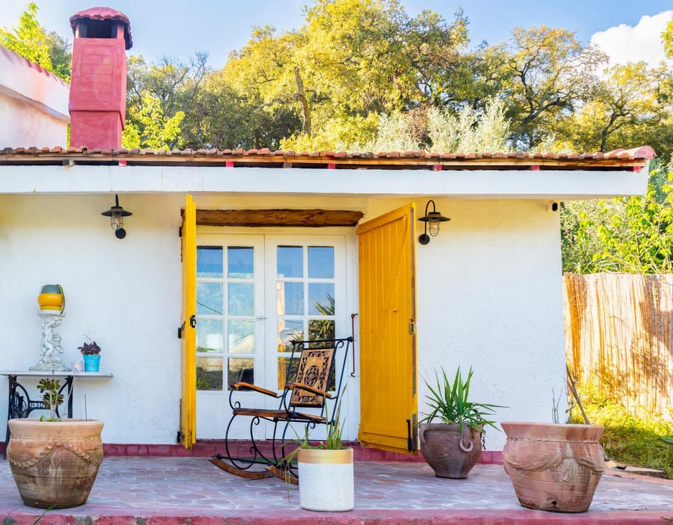 Patio, Garden, Garden view
