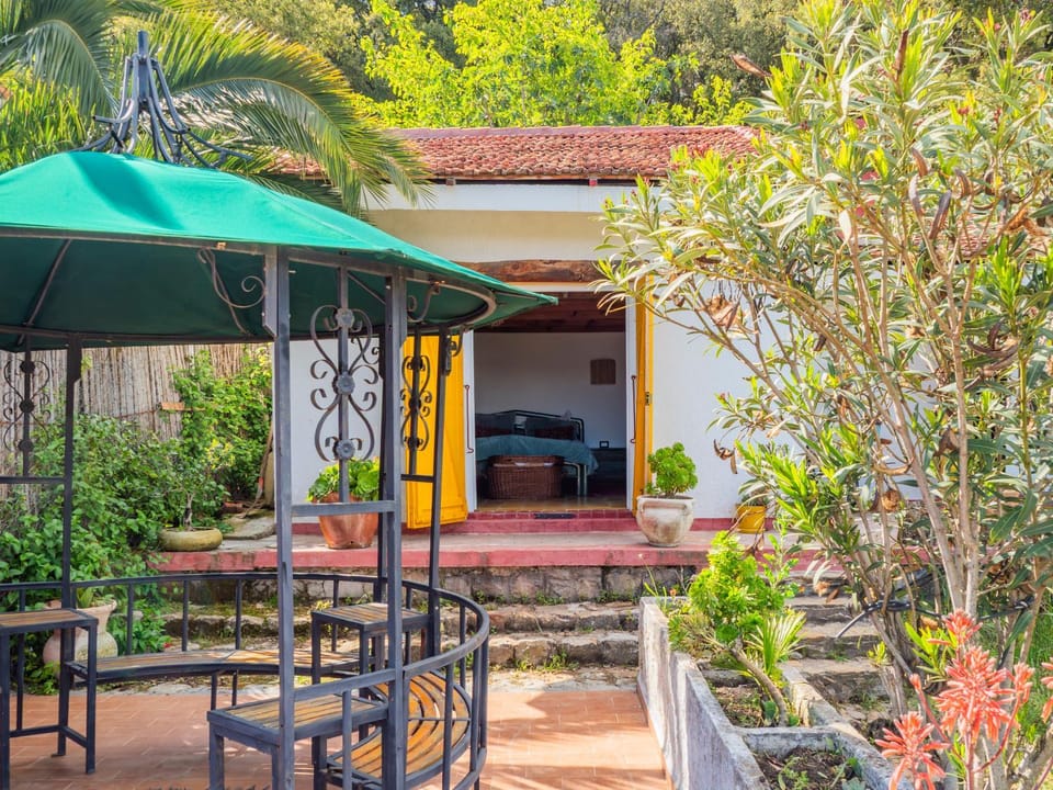 Patio, Spring, Garden, View (from property/room), Garden view