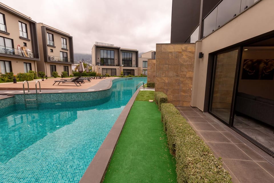 Day, Pool view, Swimming pool