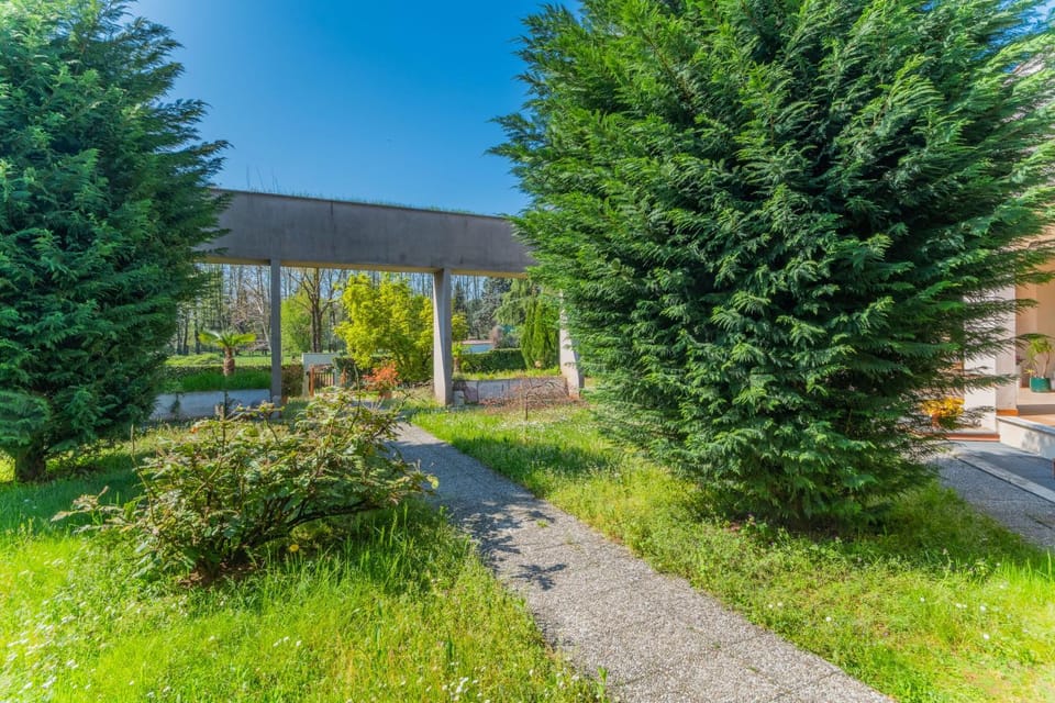 Spring, Day, Natural landscape, Garden, Garden, Garden view