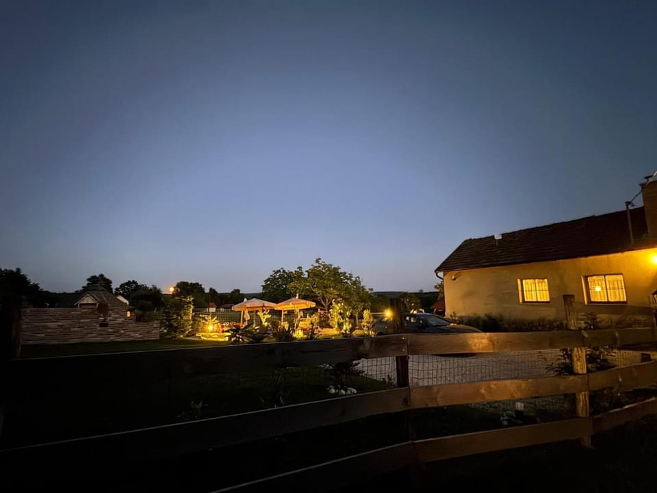 Darya Pince House in Hungary