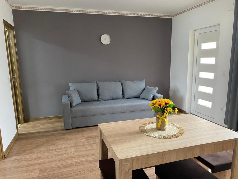 Apartament Cristian Apartment in Cluj County
