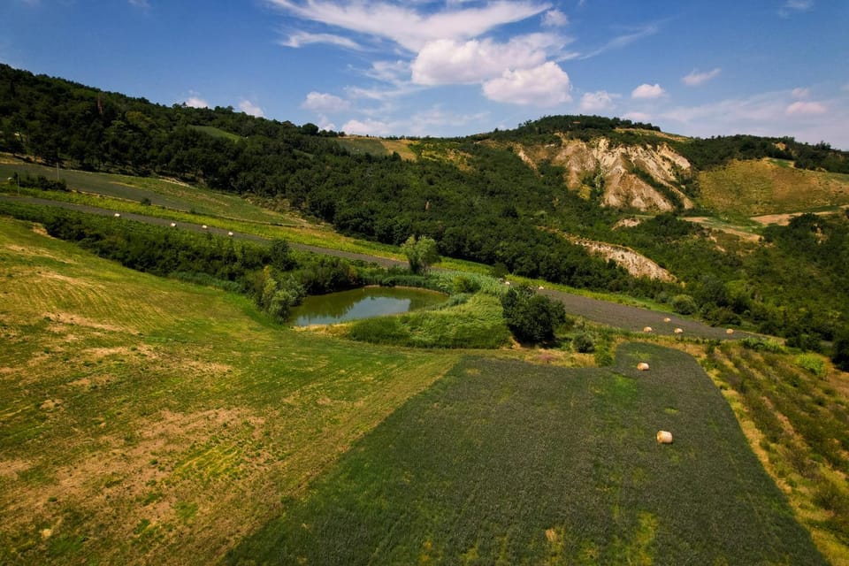 Bed and Breakfast Quercia di Croara Bed and Breakfast in Emilia-Romagna