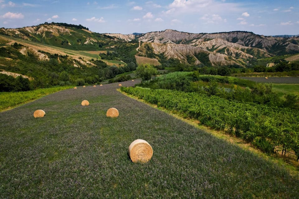 Bed and Breakfast Quercia di Croara Bed and Breakfast in Emilia-Romagna