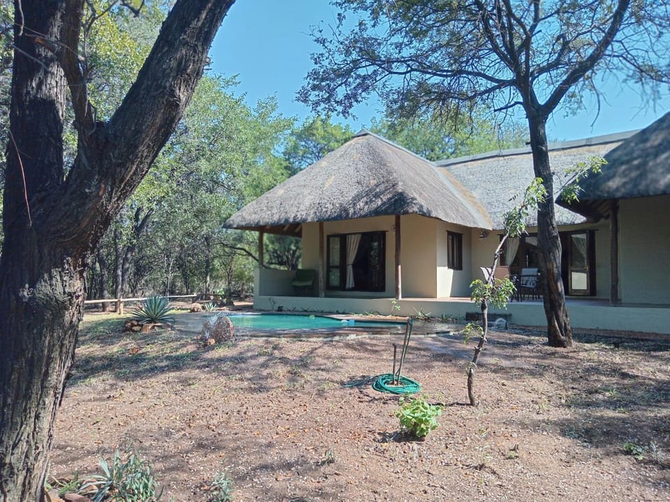 Iphupho Bush Lodge, Ba-Phalaborwa Golf Estate Nature lodge in South Africa