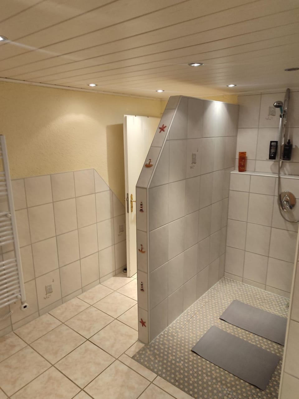 Shower, Toilet, Bathroom, acessibility