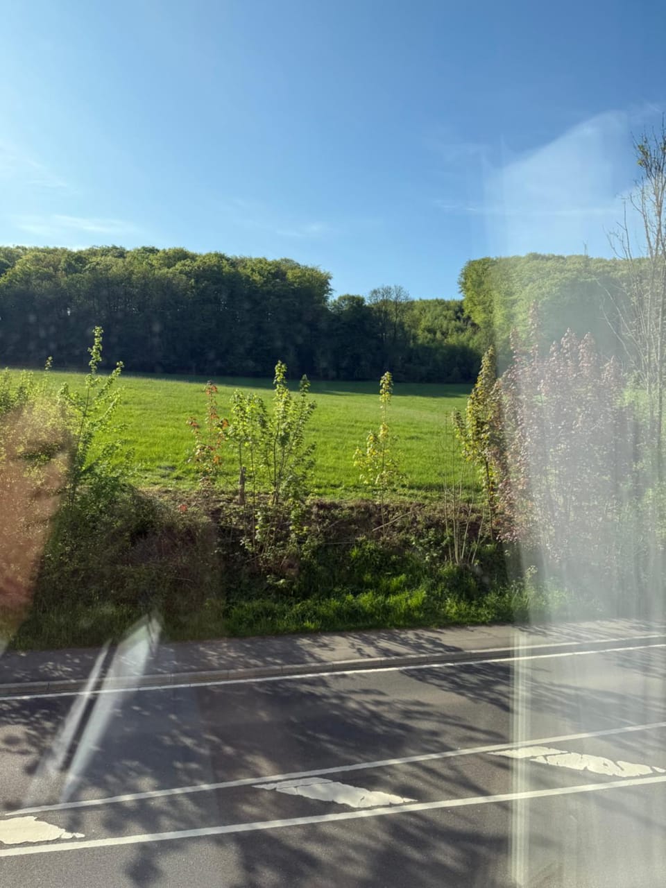View (from property/room)