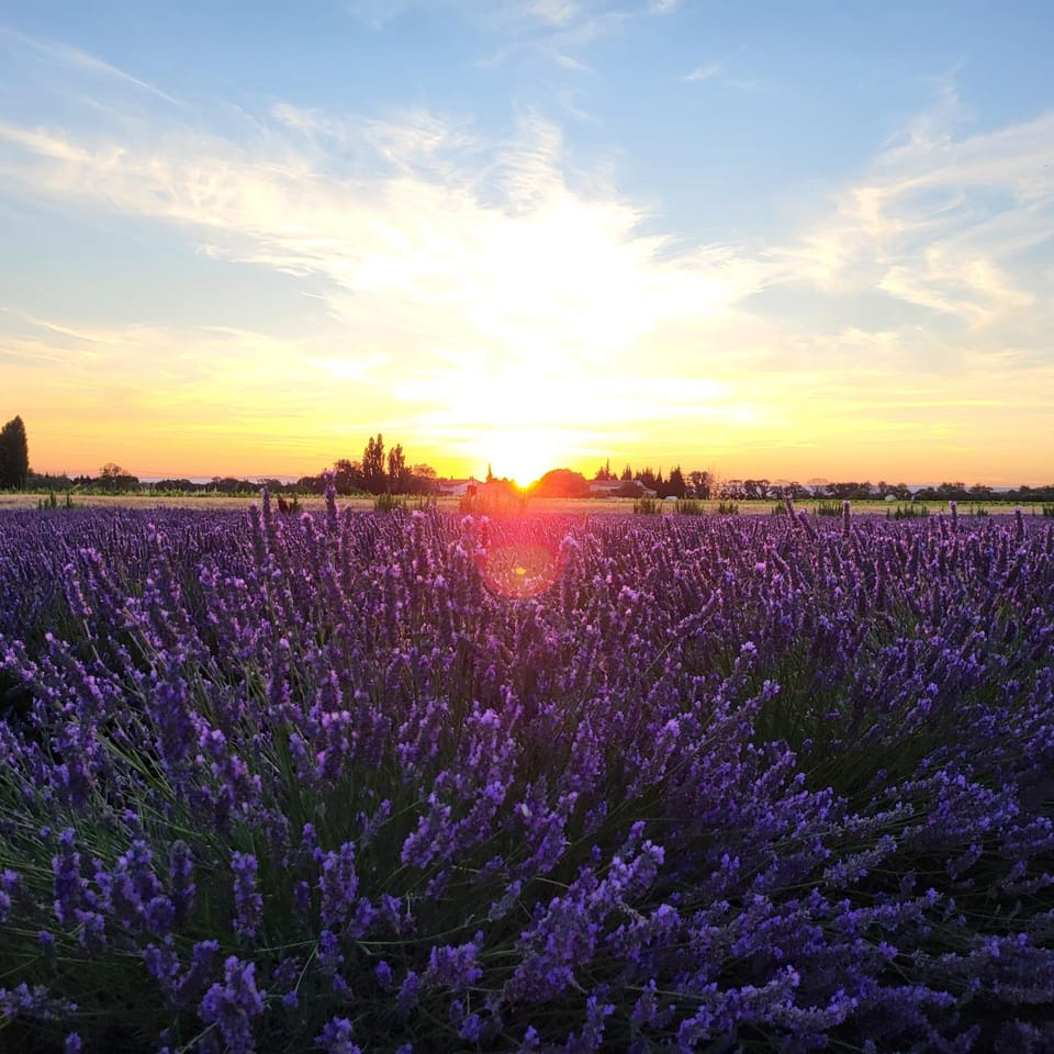 Natural landscape, Sunset