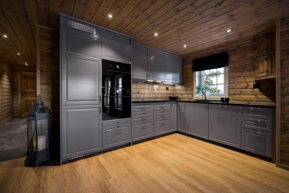 Kitchen or kitchenette, dishwasher, stove
