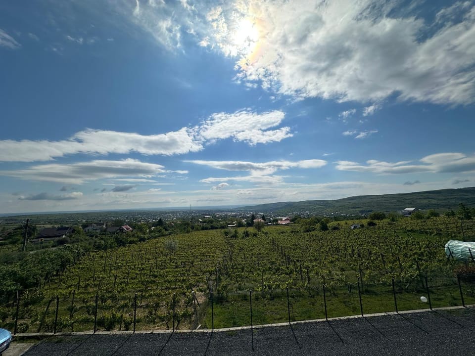 Cabana Toscana Villa in Moldova