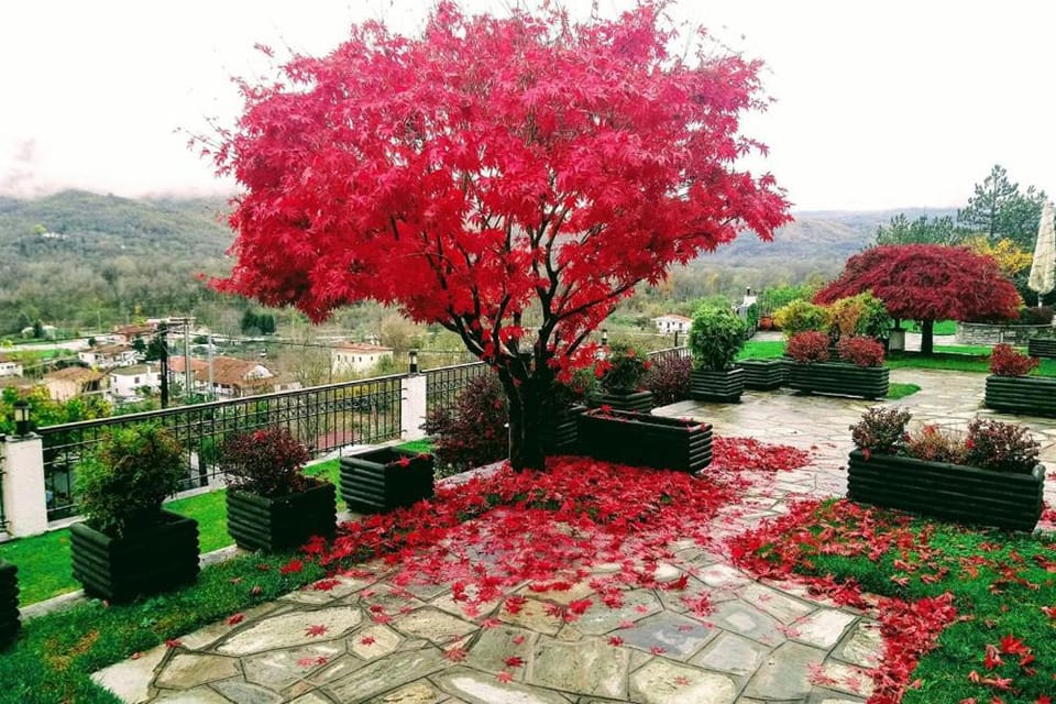 Natural landscape, Garden, Garden view