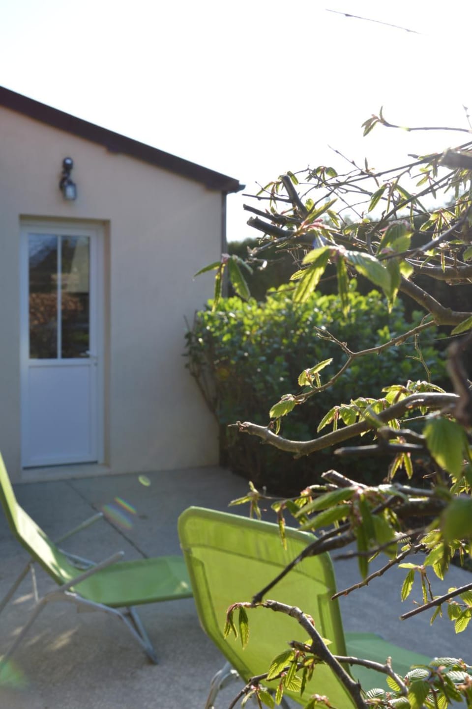 Patio, Spring, Garden, Garden view