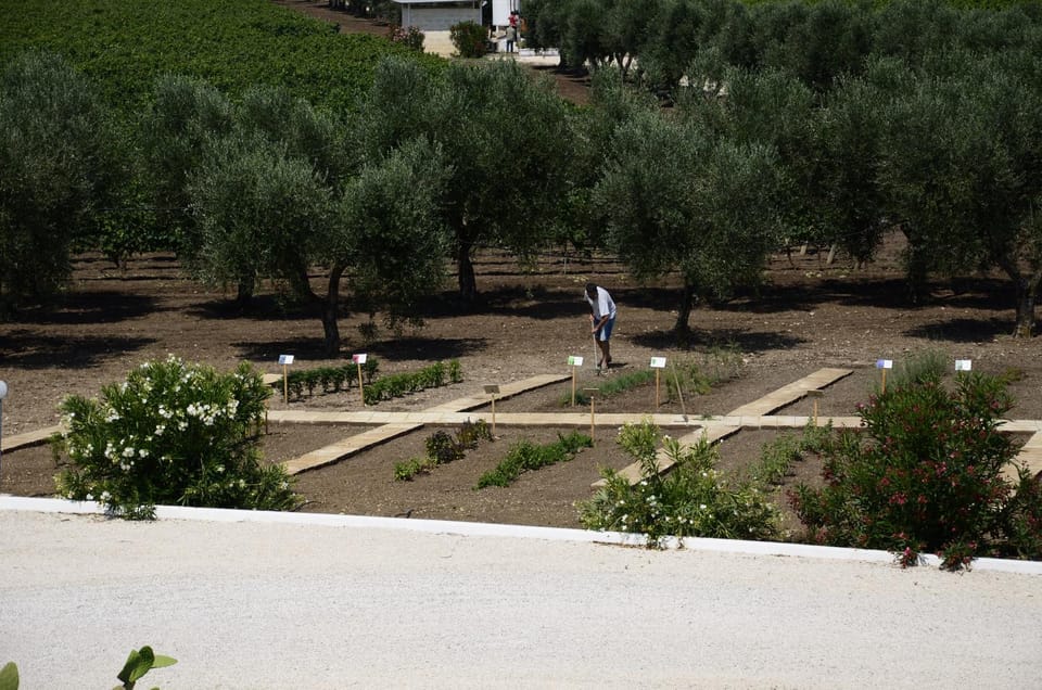 Property building, Natural landscape, Garden, Garden view