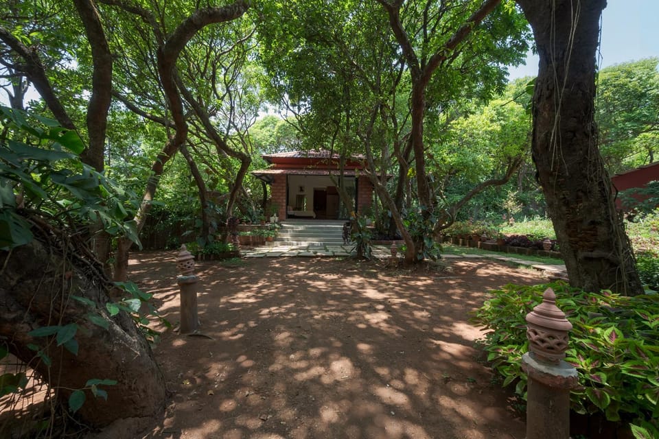 Natural landscape, Garden