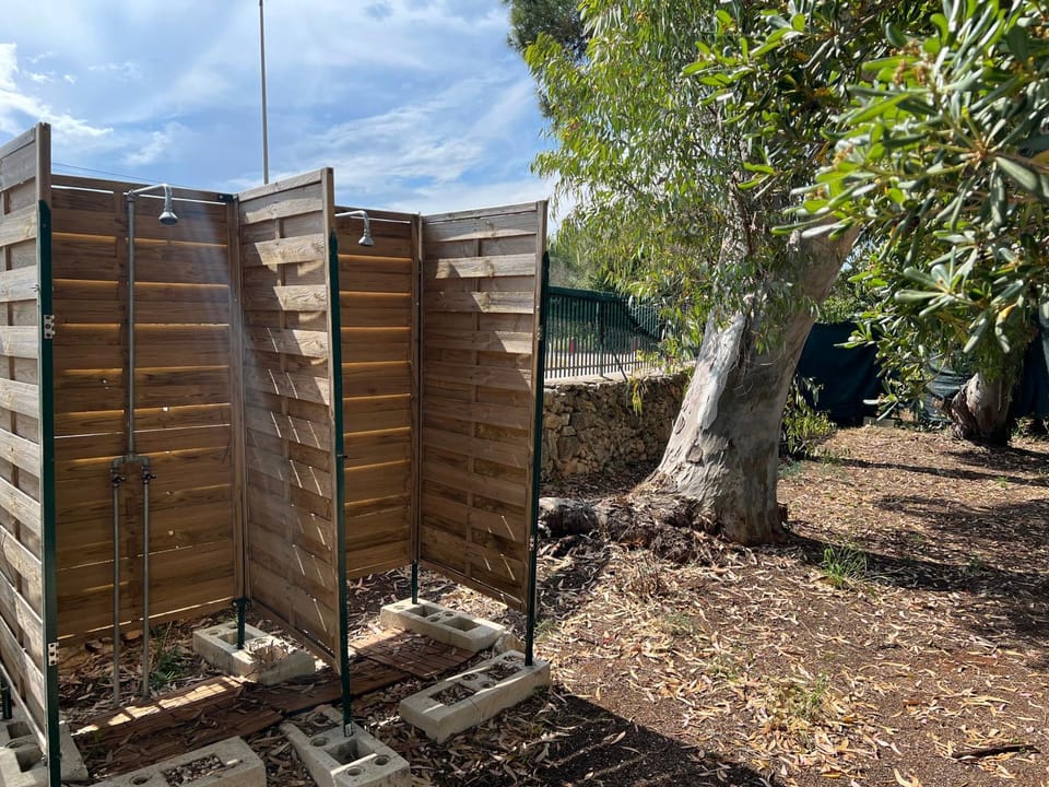 Shower, Day, Garden, Garden, Garden view