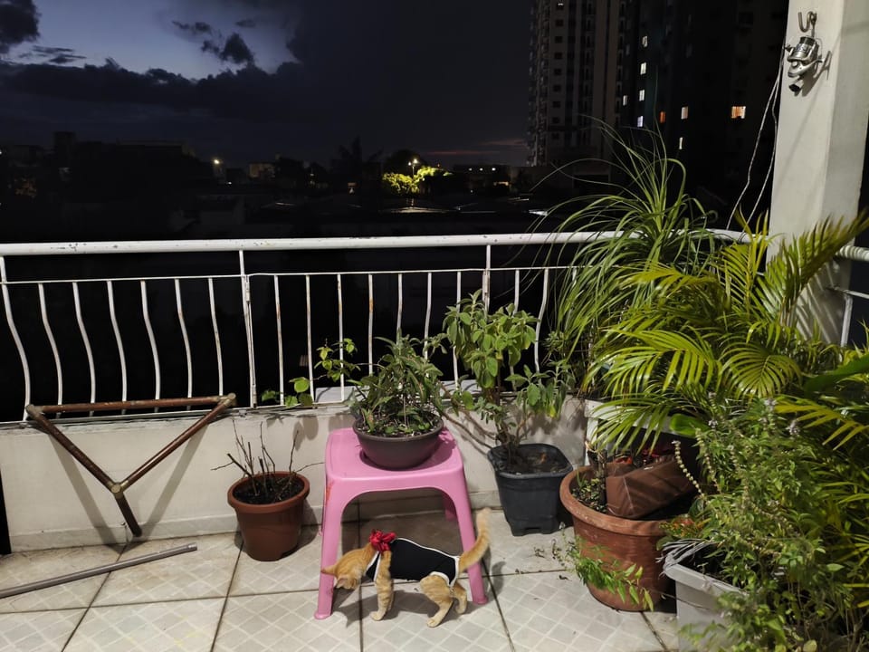 Casa Cop30 Apartment in Belém