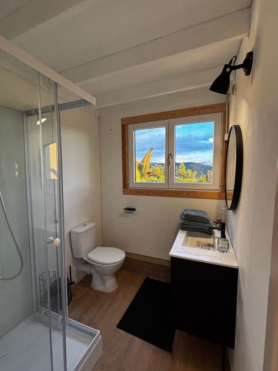 Shower, Toilet, Bathroom, towels, Internal: Not applicable to any particular room