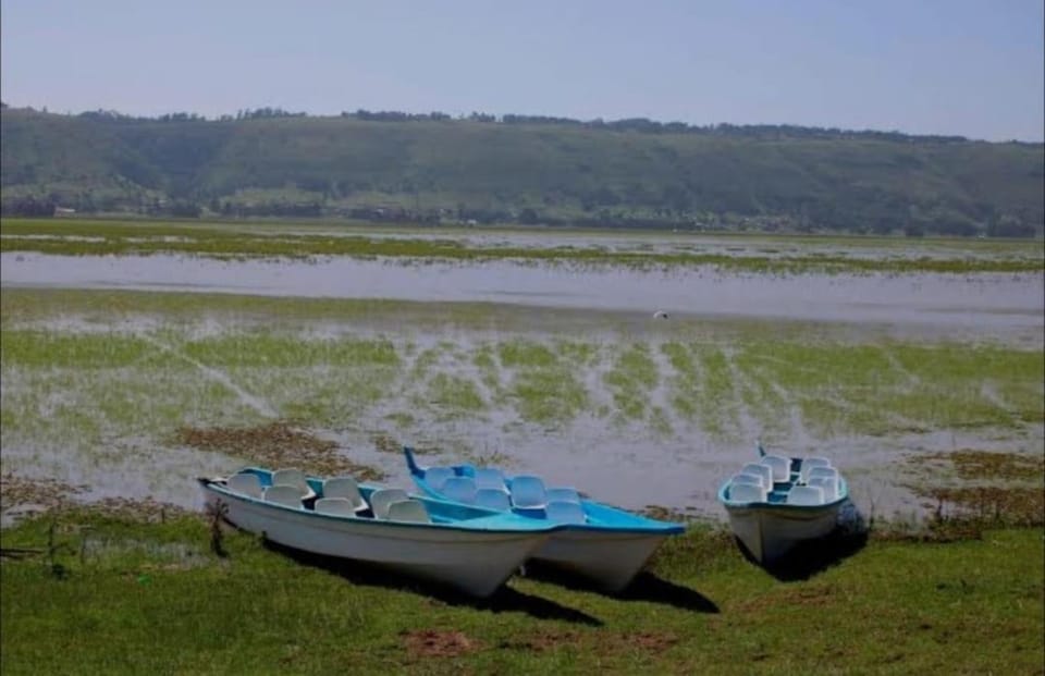 Rui homes Farm Stay in Kenya