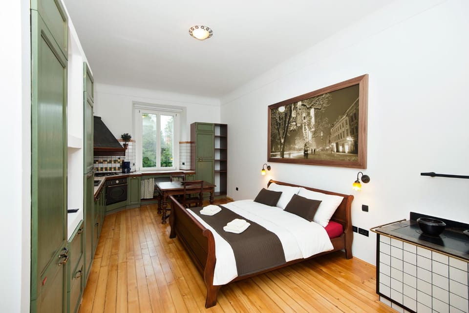 Bed, Kitchen or kitchenette, Photo of the whole room, Dining area, Bedroom, stove, wardrobe, kitchen