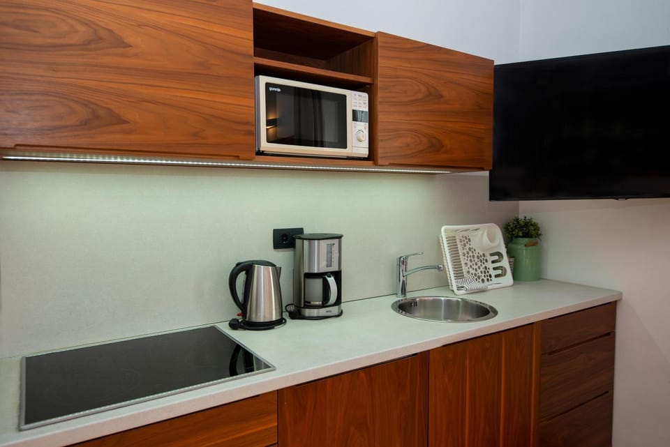 TV and multimedia, Coffee/tea facilities, Kitchen or kitchenette, minibar, stove, kitchen
