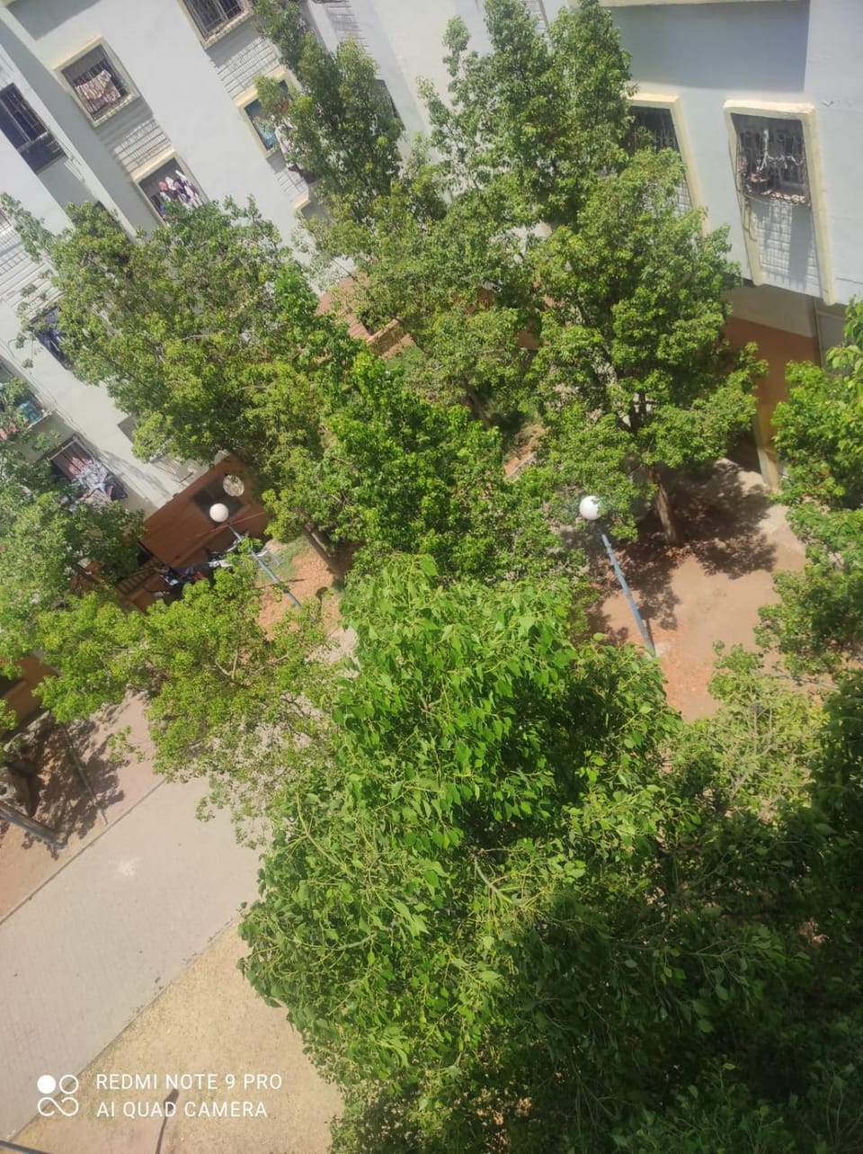 Garden, Garden view