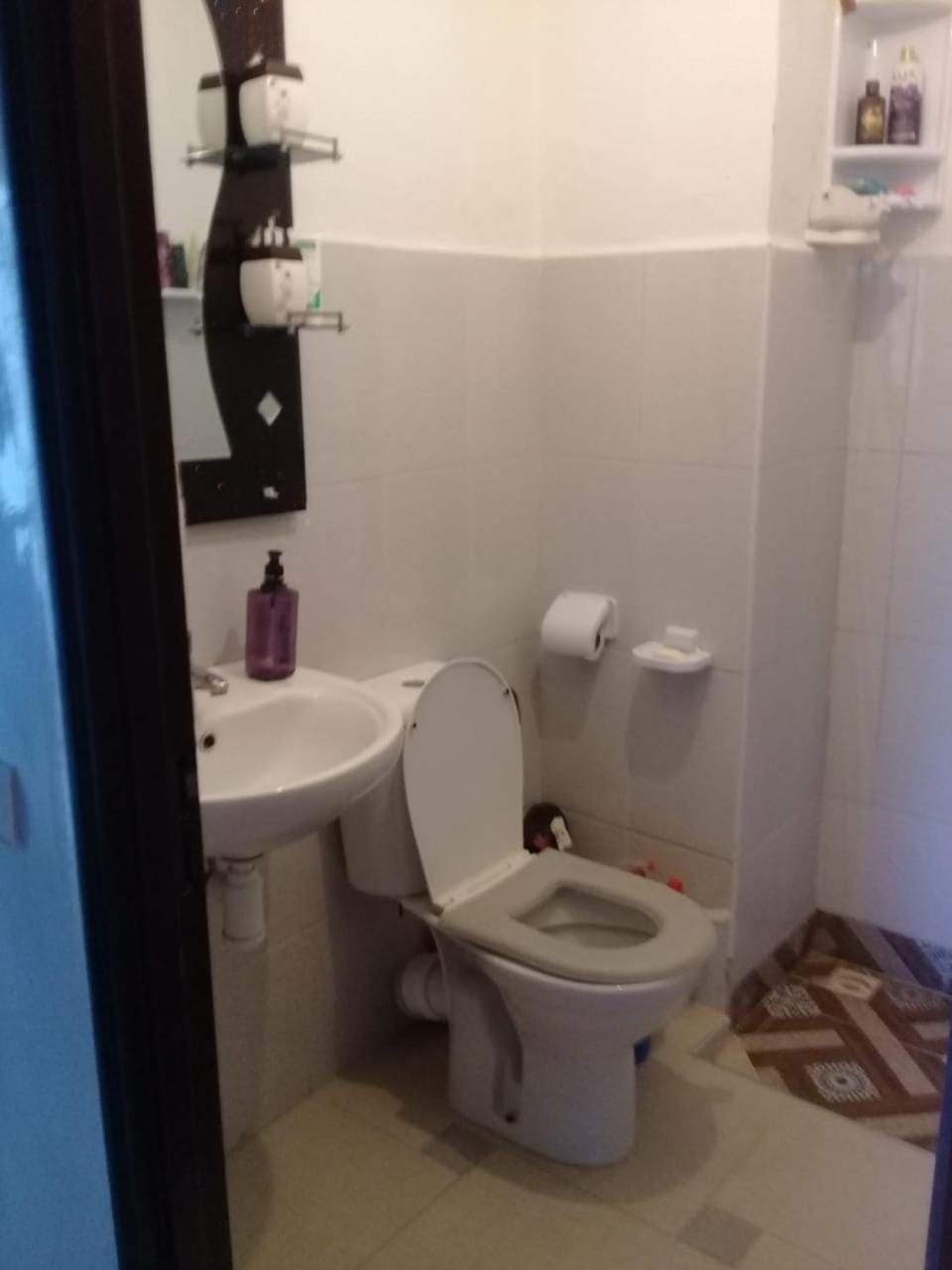 Toilet, Bathroom
