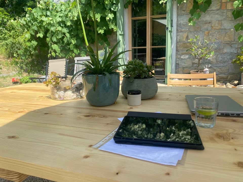 Casa Fiorita B&B Muggia Bed and Breakfast in Friuli-Venezia Giulia