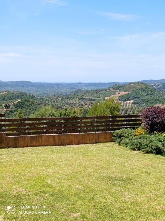 Natural landscape, Garden, Mountain view