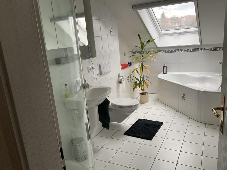 Bathroom, Living room