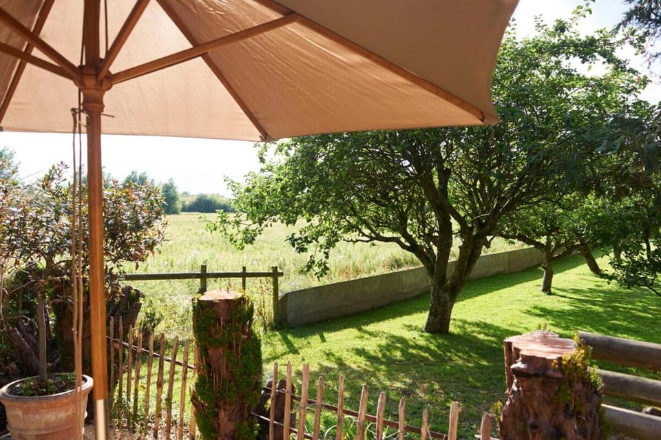 Natural landscape, Garden view