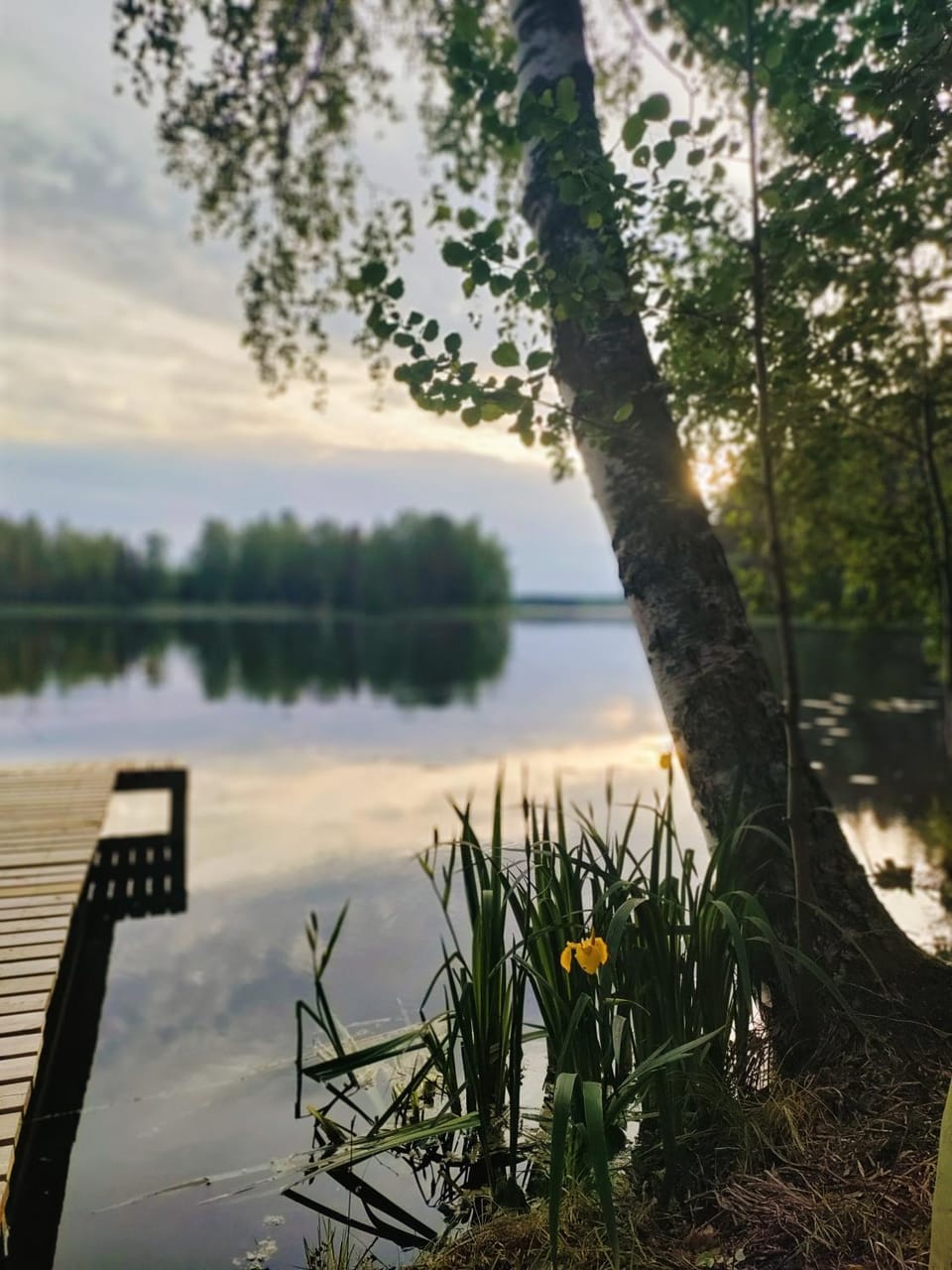 Lake view
