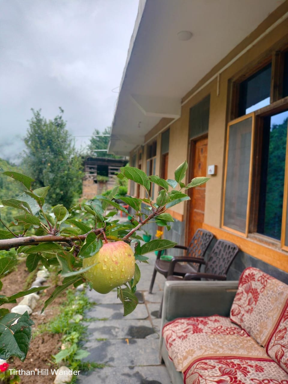 View (from property/room), Balcony/Terrace, Internal: Not applicable to any particular room