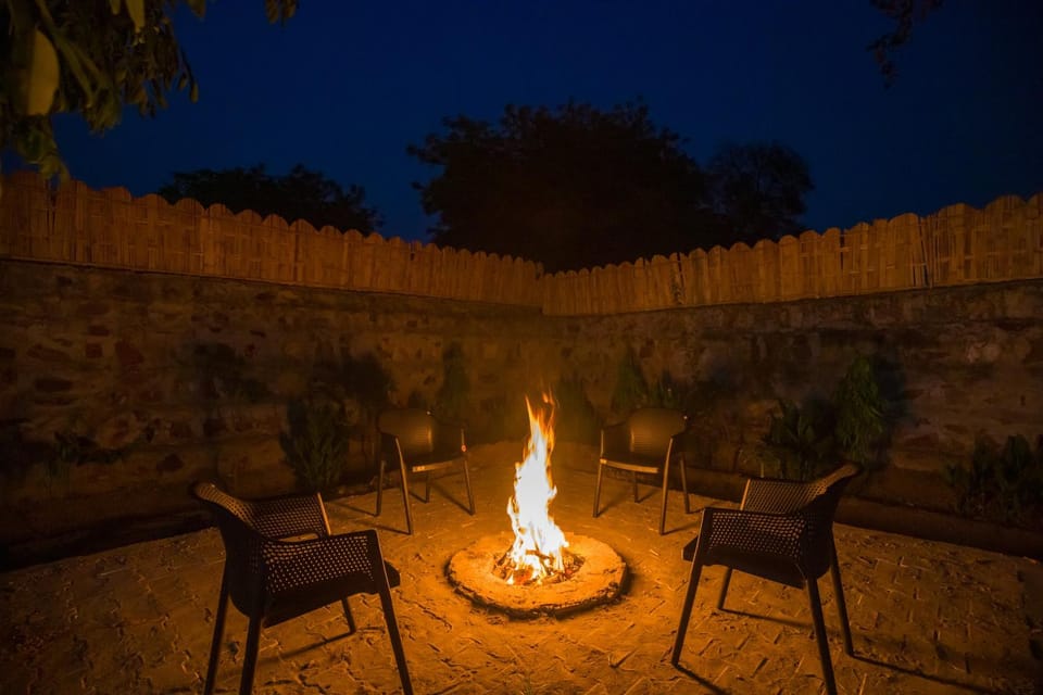 ELIVAAS Signature 3 BHK Amber Villa With Pvt Pool, Game Room & Studio Rooms Villa in Haryana