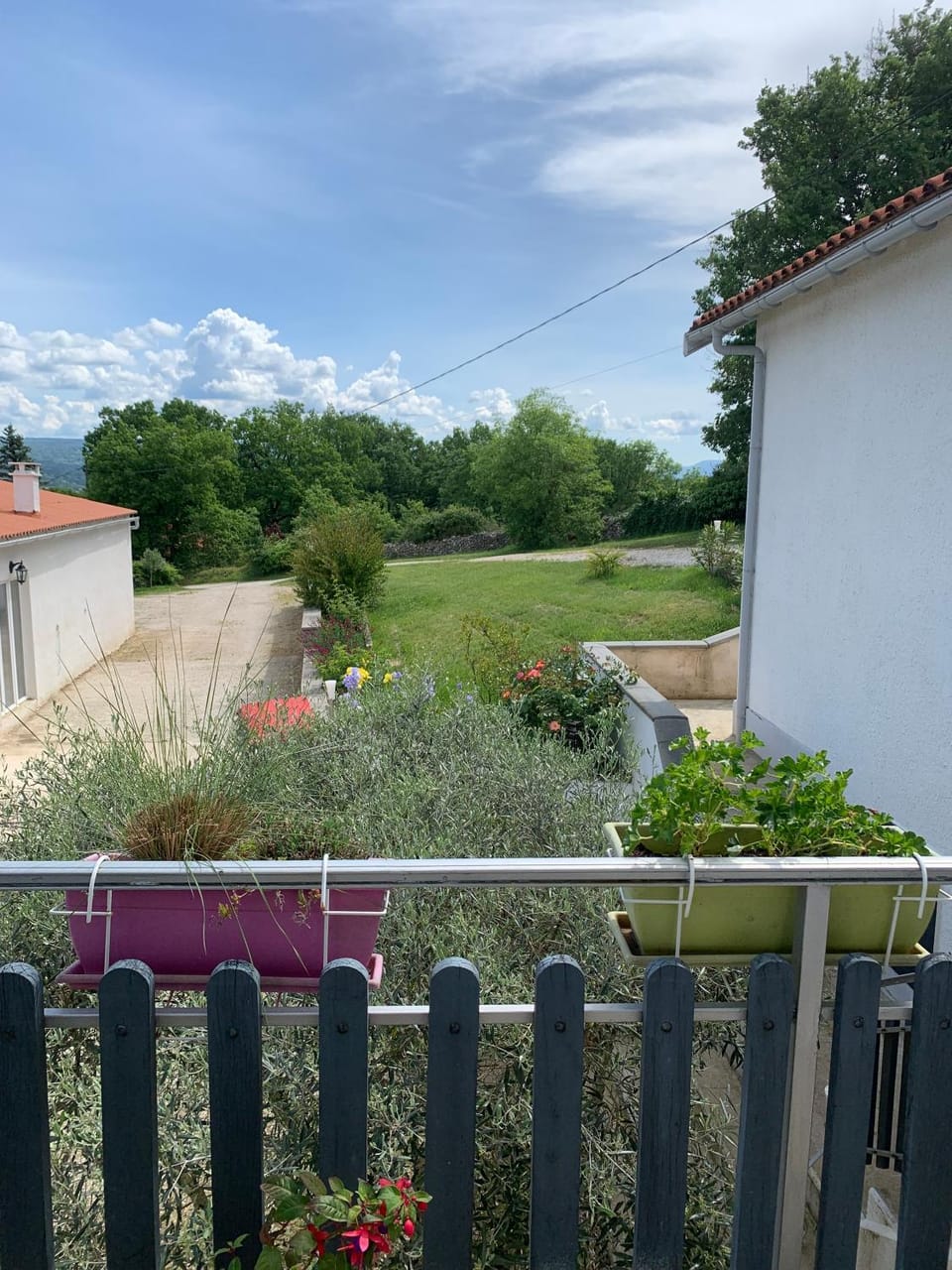 Garden view
