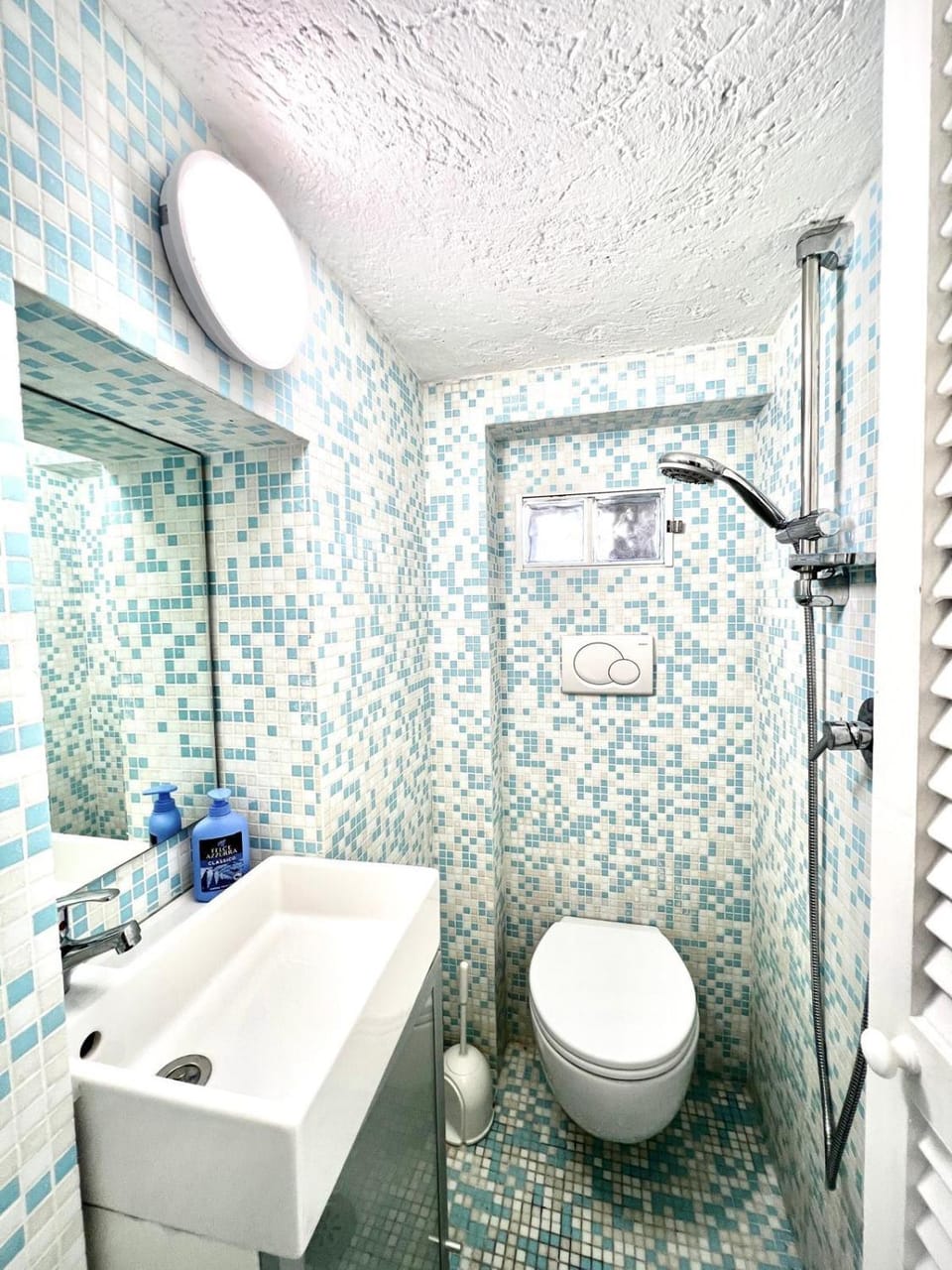 Shower, Toilet, bidet