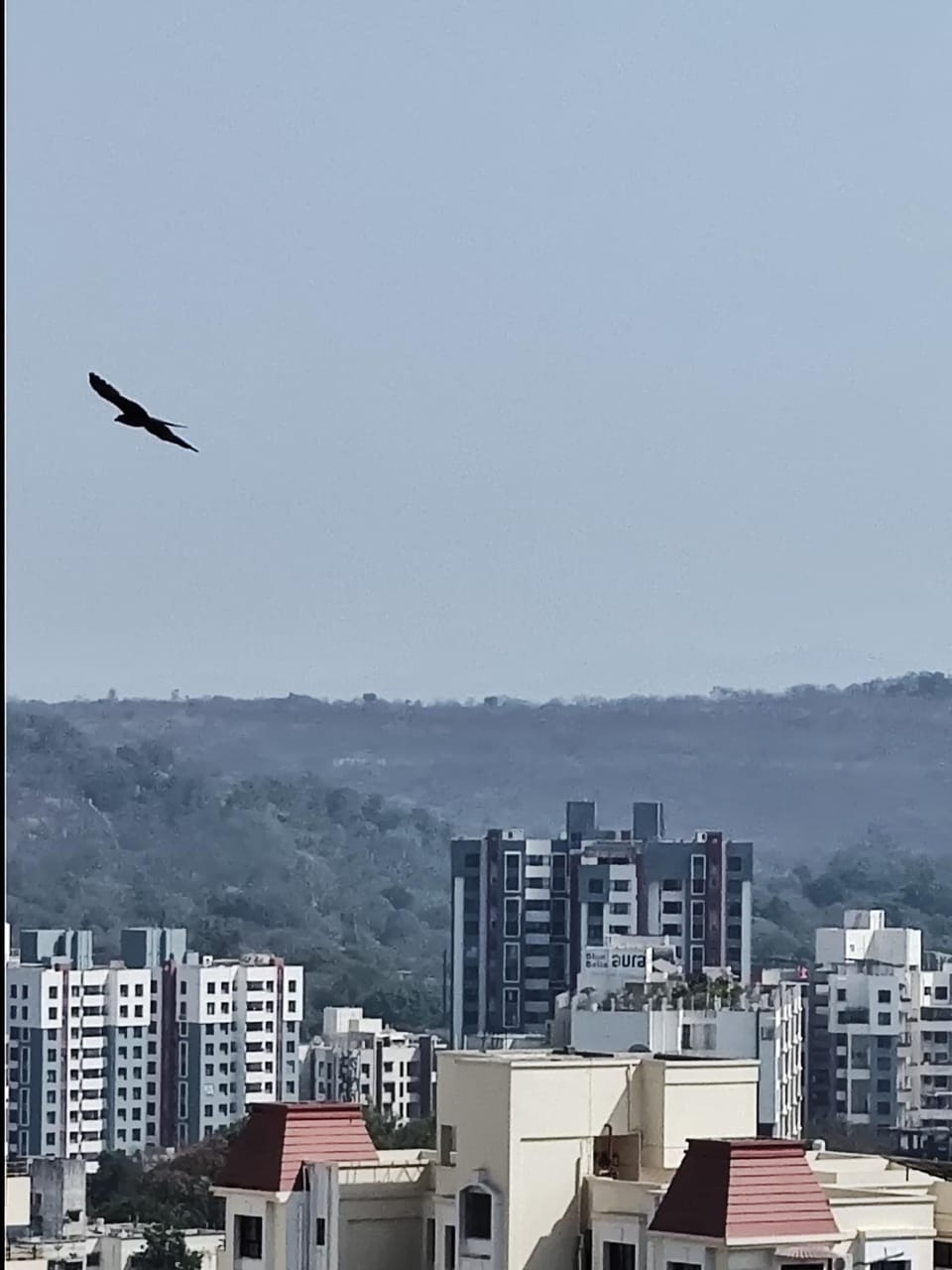 Hillside Lakeview Studio near Baner Apartment in Pune