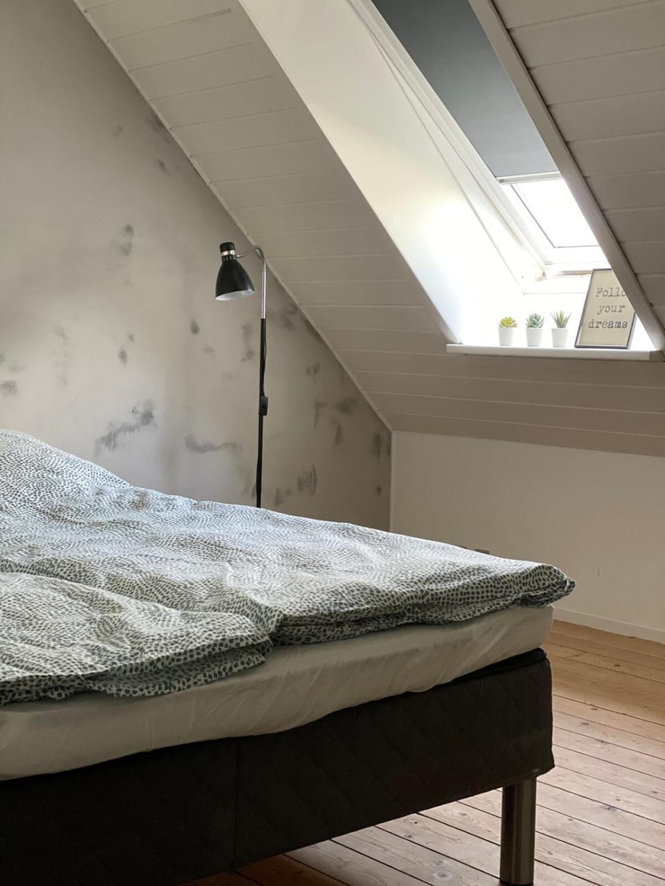 Cozy big apartment Apartment in Blokhus