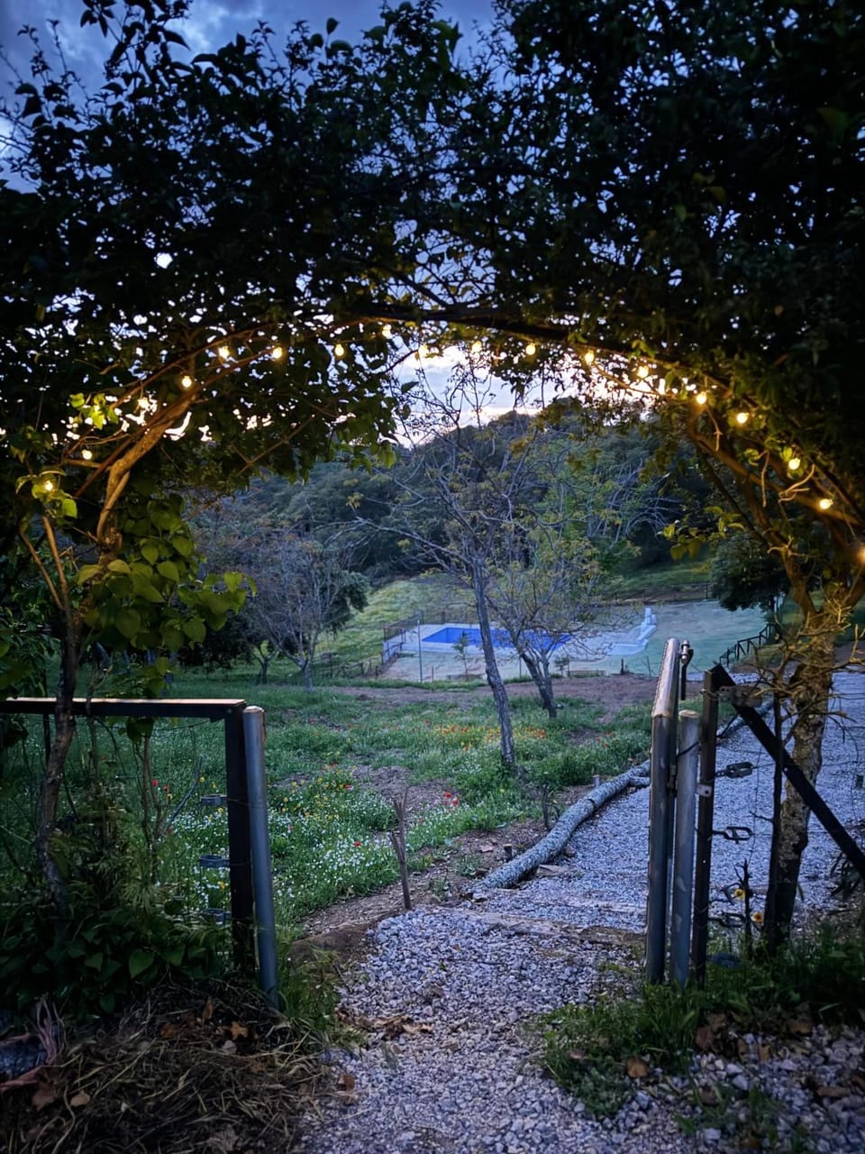 El Tilo - Alojamiento para grupos House in Sierra Norte de Sevilla