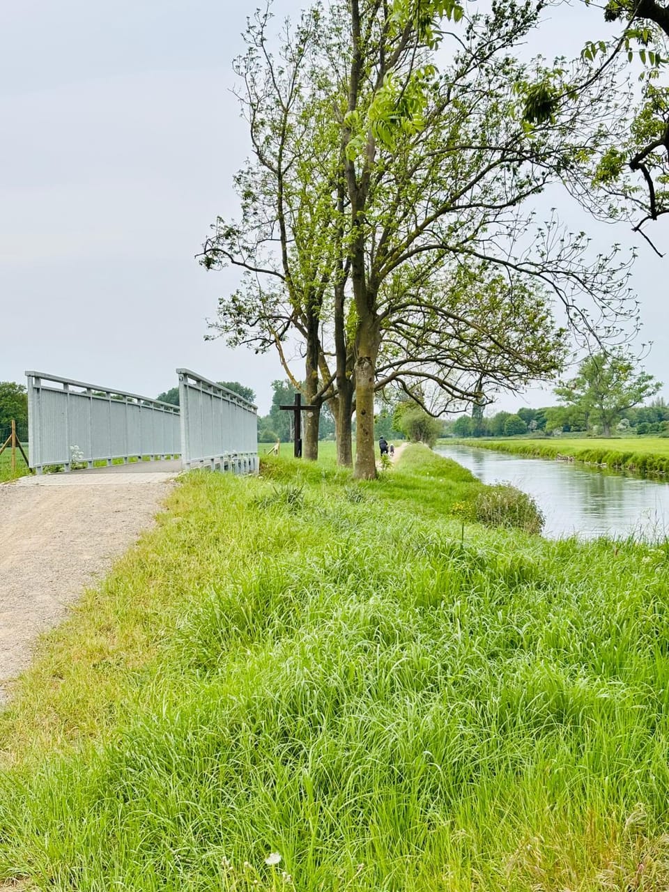 Natural landscape