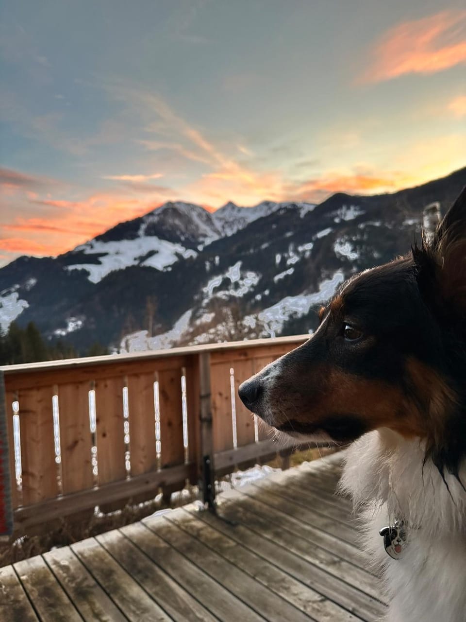 Mountain view