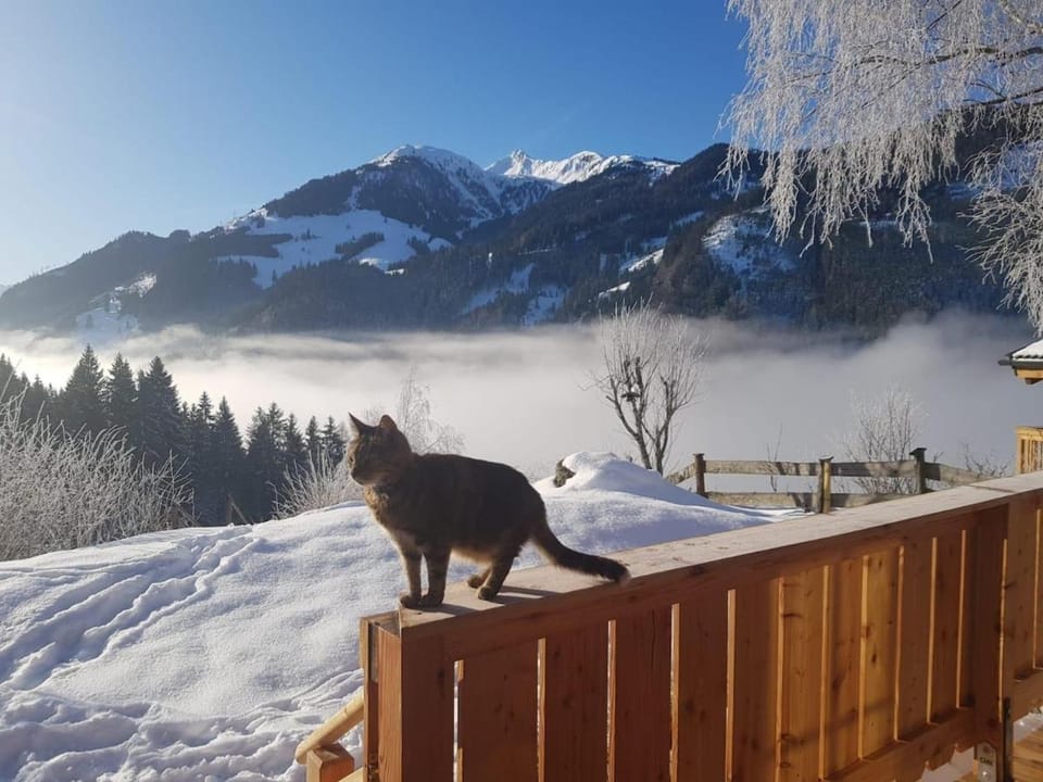Wolke 26 - Das Gipfelchalet House in Salzburgerland