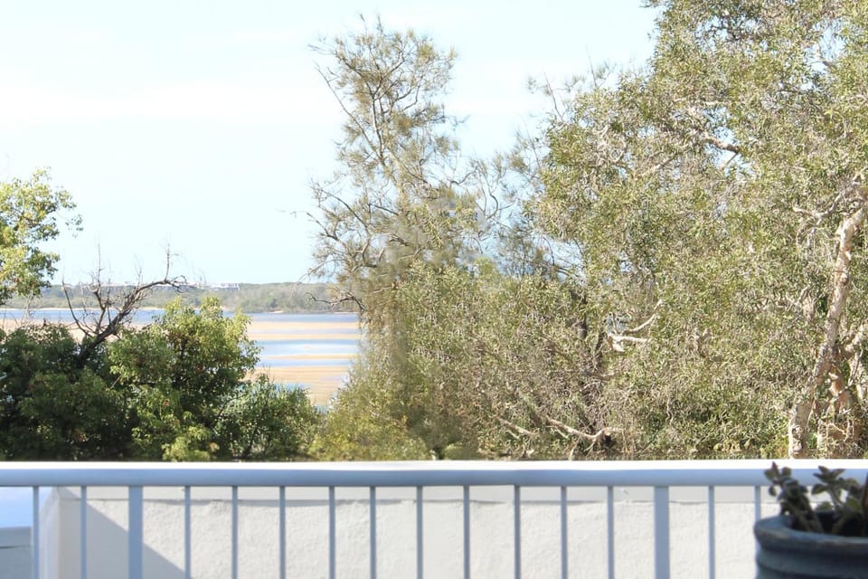 The Beach Deck Cotton Tree On The Esplanade Apartment in Maroochydore
