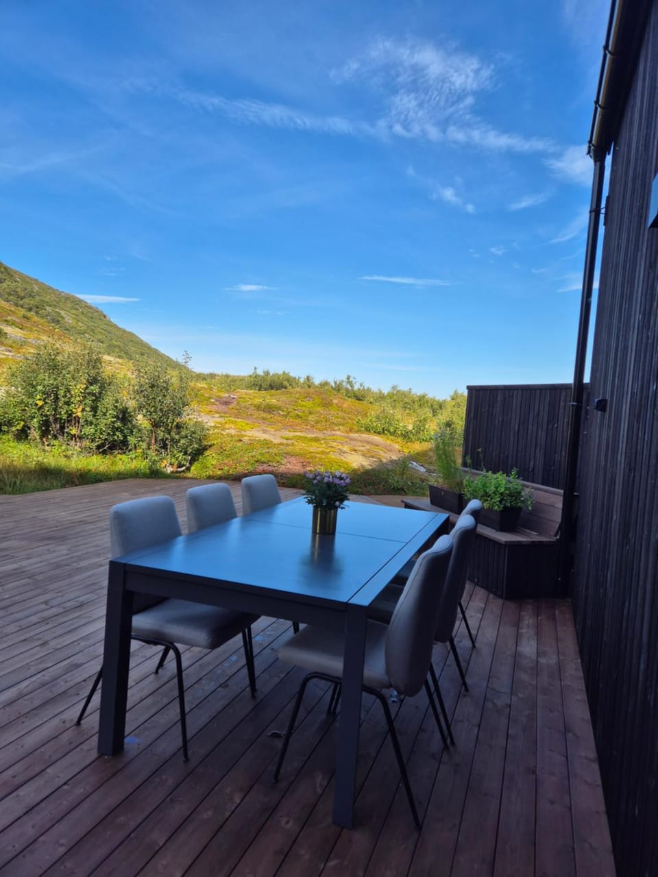 Patio, Day, Summer, Balcony/Terrace, Dining area