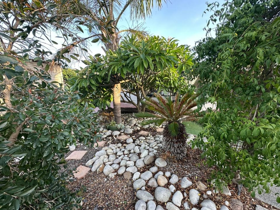 Day, Garden, Garden view