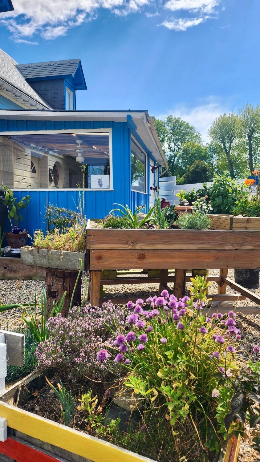 la petite maison en bois bleue House in Normandy