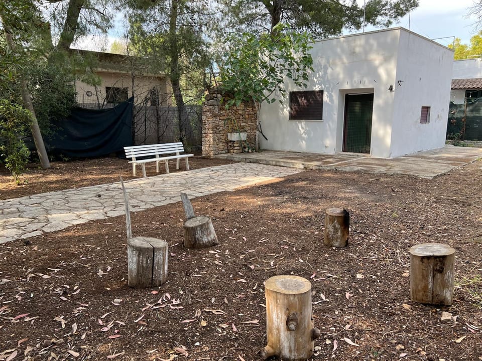 Property building, Patio, Spring, Day, Garden, Garden view