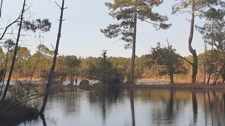 Le Gîte du Lac d'Hostens House in Nouvelle-Aquitaine